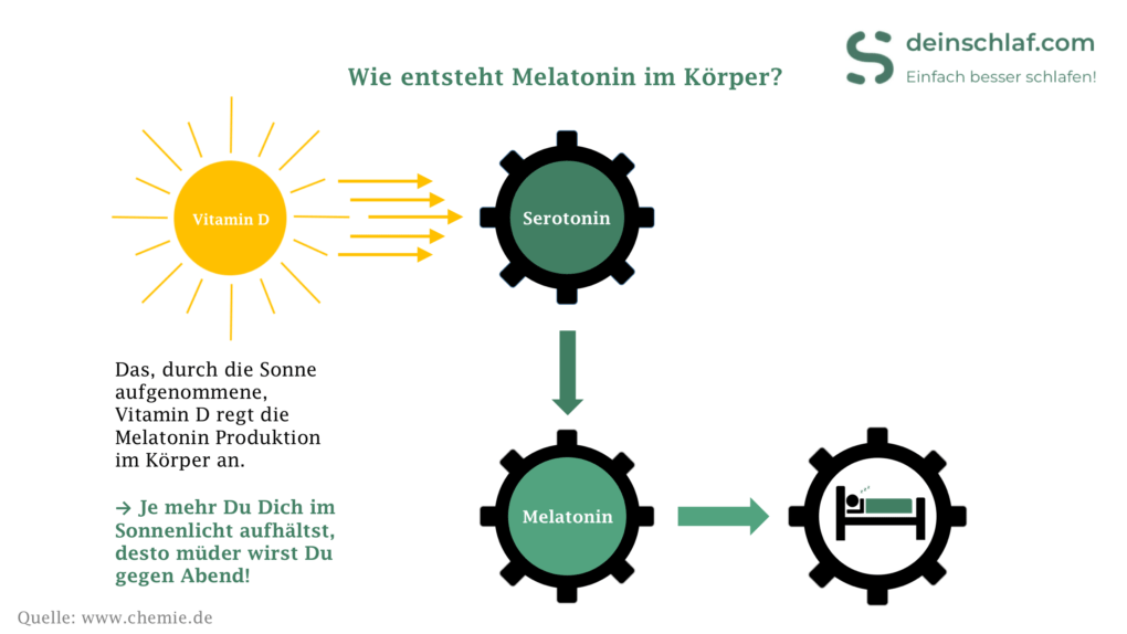 Wie wirkt Melatonin im Körper - Infografik