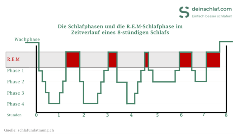REM Schlaf Im Reich der Träume